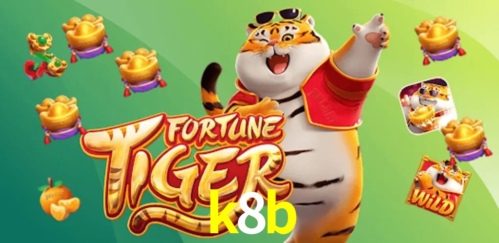 Experiência VIP k8b
